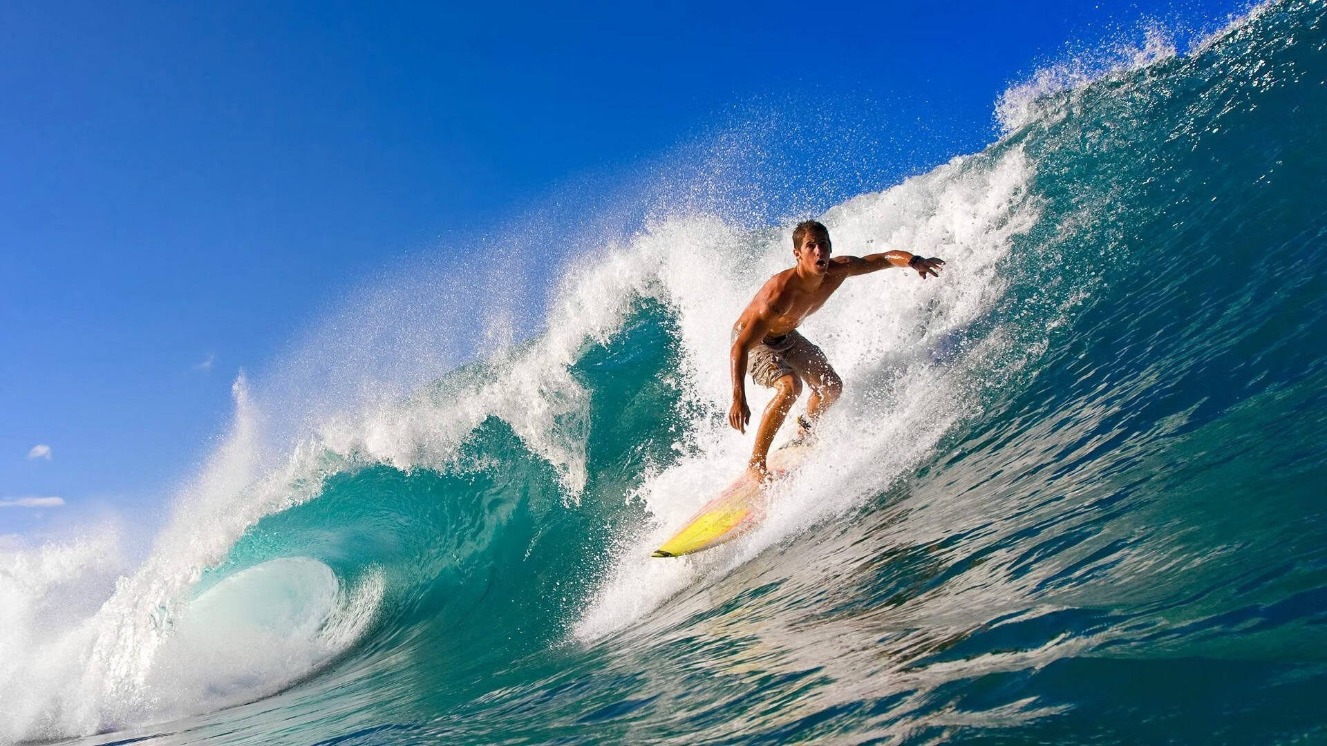 数据曲线：美选手节奏更依赖爆发点调整，数据曲线app